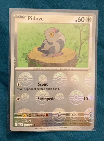 2025 Pokemon SV Black Bolt #071 Pidove — front