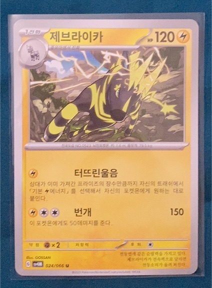 2023 Pokemon Korean #024 Electrike — front