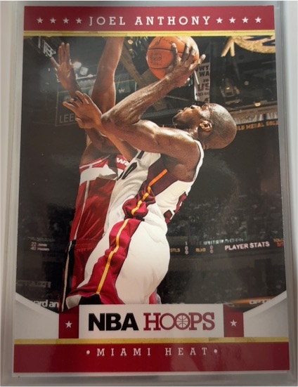 2012-13 Panini NBA Hoops #160 Joel Anthony — front