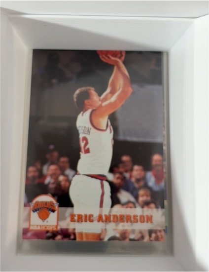 1993-94 NBA Hoops #376 Eric Anderson — front