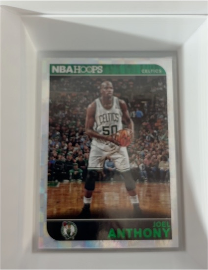 2014-15 Panini NBA Hoops #241 Joel Anthony — front