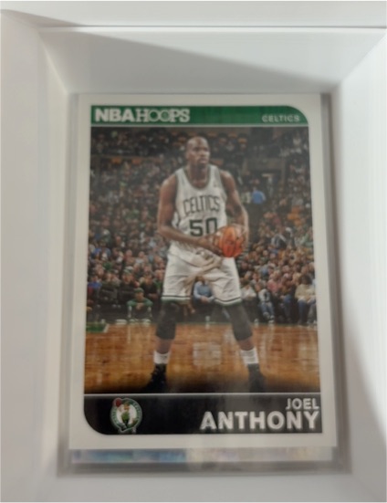 2014-15 Panini NBA Hoops #241 Joel Anthony — front