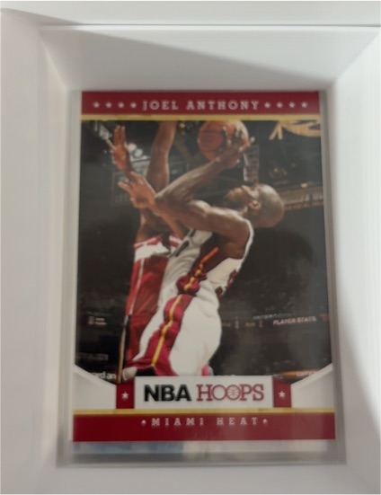 2012-13 Panini NBA Hoops #160 Joel Anthony — front