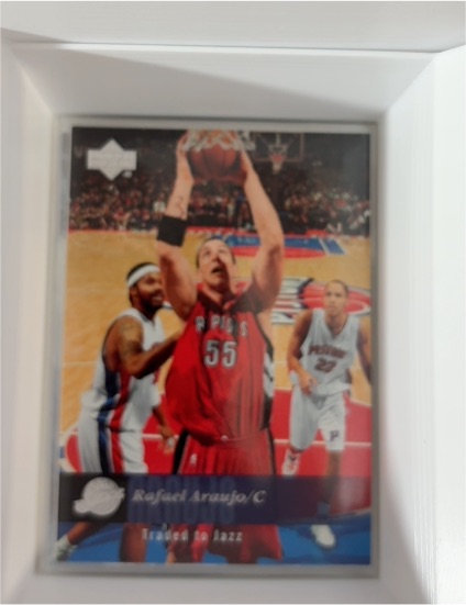 2006-07 Upper Deck #55 Rasheed Wallace — front