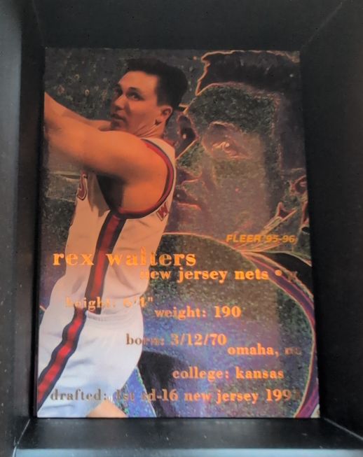 1995-96 Fleer #118 Rex Walters — front