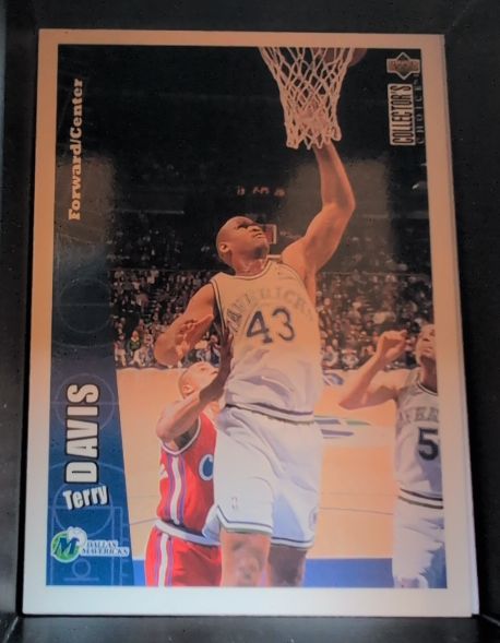 1995-96 Collector's Choice #313 Terry Davis Dallas Mavericks — front