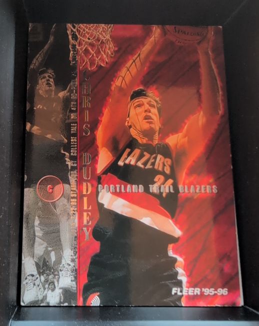 1995-96 Fleer #150 Chris Dudley — front