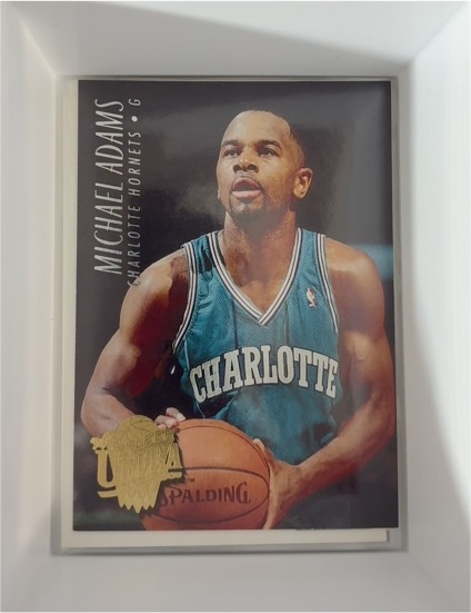1994-95 Fleer Ultra #17 Michael Adams — front
