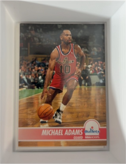 1994-95 NBA Hoops #216 Michael Adams — front