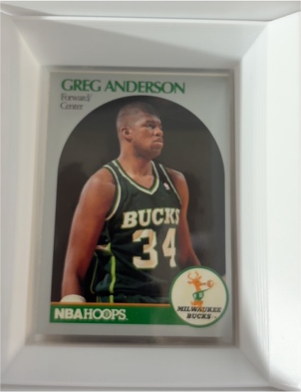 1990-91 NBA Hoops #173 Greg Anderson — front