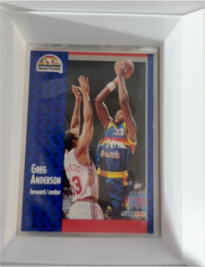1991-92 Fleer #272 Greg Anderson — front