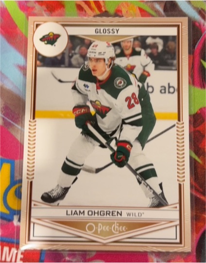 2024-25 Upper Deck Series 2 O-Pee-Chee Glossy #OPC-47 Liam Ohgren — front