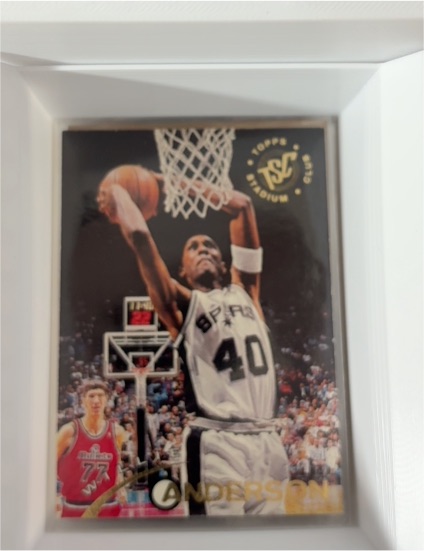 1994-95 Topps Stadium Club #206 Willie Anderson — front