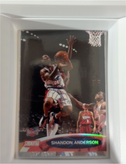1999-00 Topps Stadium Club Chrome #128 Shandon Anderson — front