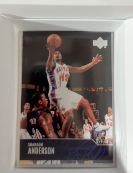 2003-04 Upper Deck #191 Shandon Anderson — front