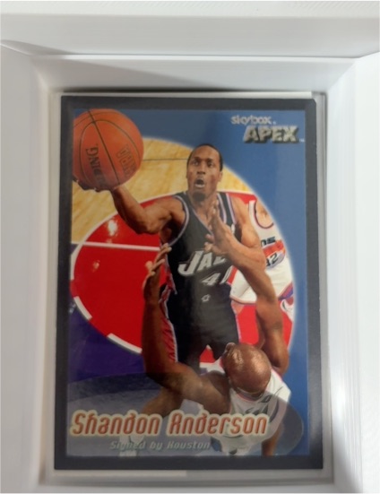 1999-00 SkyBox Apex #46 Shandon Anderson — front