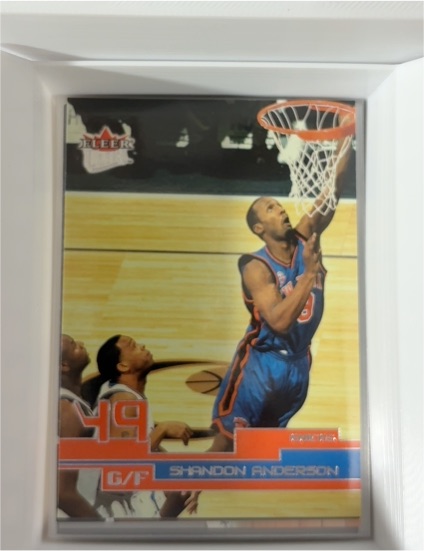 2002 Fleer #49 Shandon Anderson — front