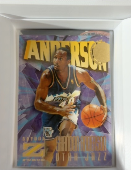 1996-97 SkyBox Z-Force #141 Shandon Anderson — front