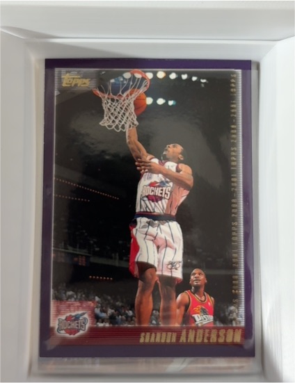2000-01 Topps #264 Shandon Anderson — front