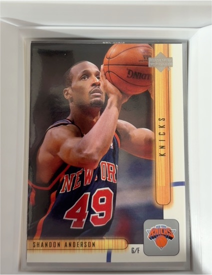 2001-02 Upper Deck #336 Shandon Anderson — front