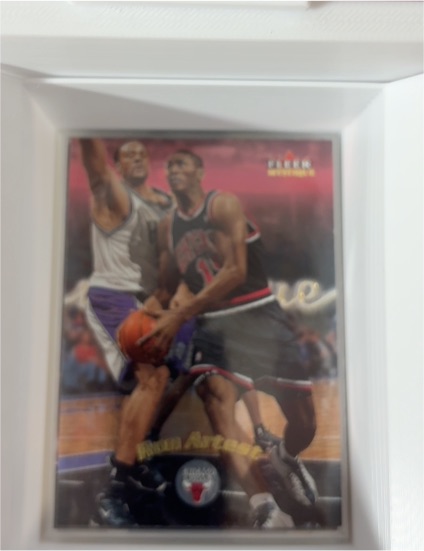 2000-01 Fleer Mystique #78 Ron Artest — front