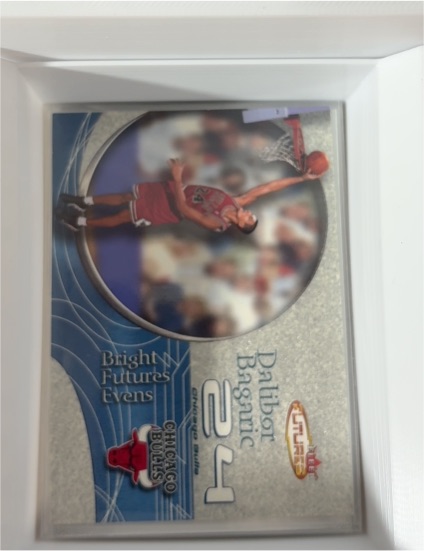 2000-01 Fleer Futures #250 Dalibor Bagaric — front