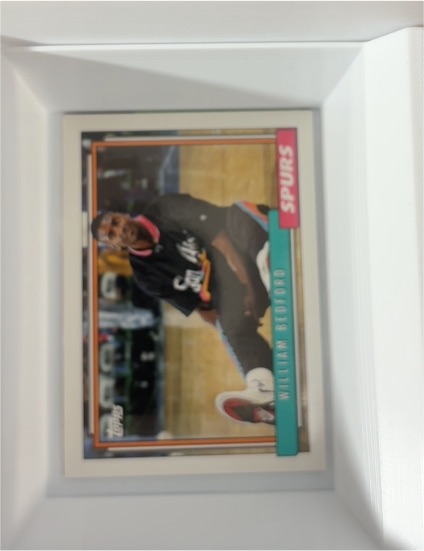 1992-93 Topps Gold #241G William Bedford — front