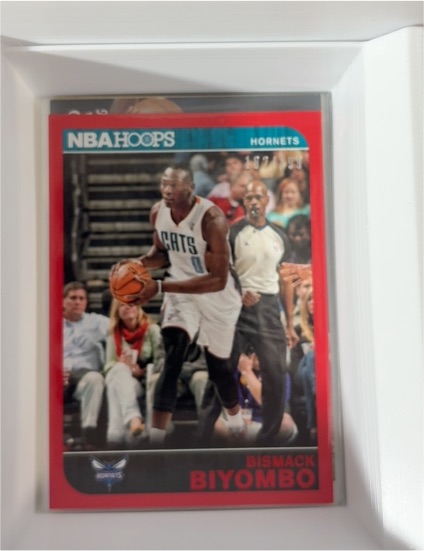 2014-15 Panini NBA Hoops #243 Bismack Biyombo — front