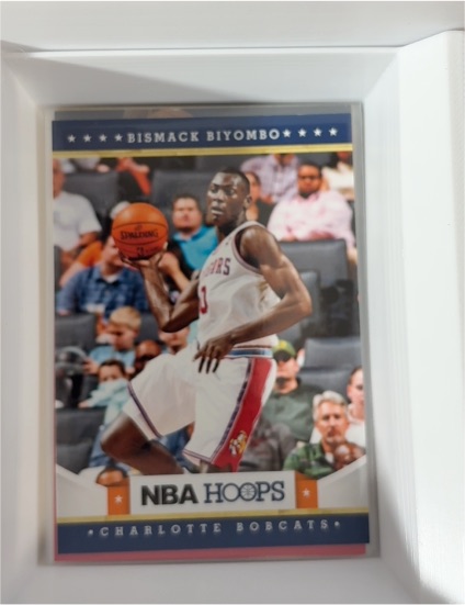2012-13 Panini NBA Hoops #228 Bismack Biyombo — front