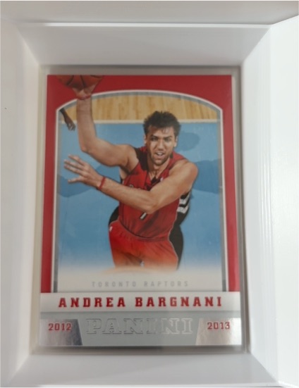 2012-13 Panini #8 Andrea Bargnani — front