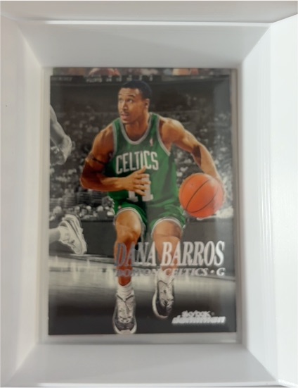 1999-00 SkyBox Dominion #119 Dana Barros — front