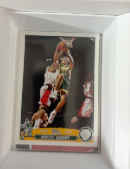 2003-04 Topps #69 Brent Barry — front