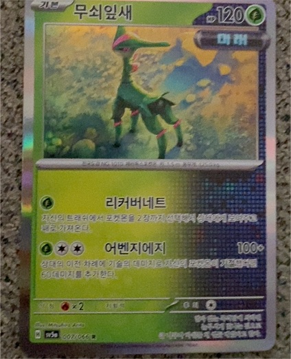 2025 Pokémon TCG Korean Iron Leaves #007/066 — front