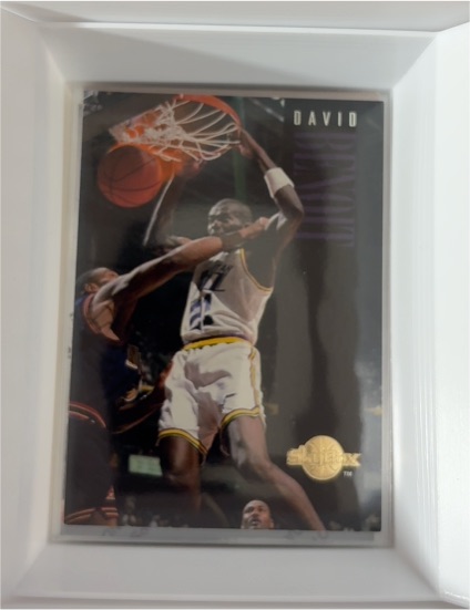 1994-95 SkyBox Premium #161 David Benoit — front