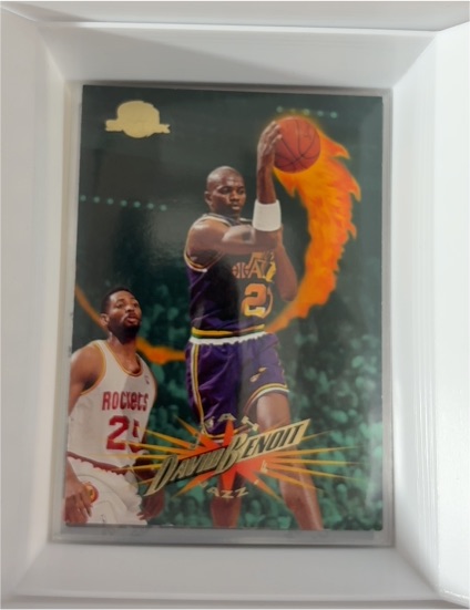 1995-96 Skybox Premium #116 David Benoit — front