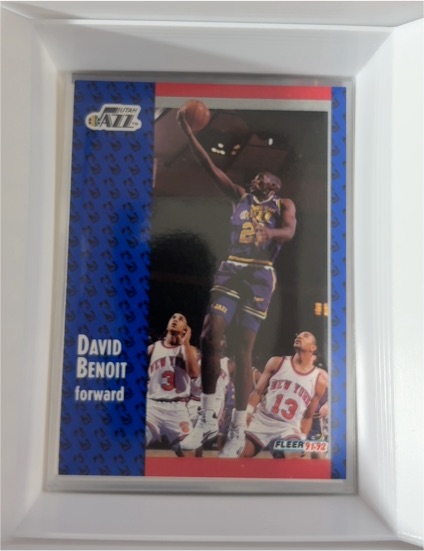 1991-92 Fleer #362 David Benoit — front