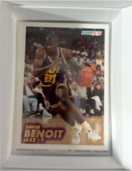 1993-94 Fleer #205 David Benoit — front
