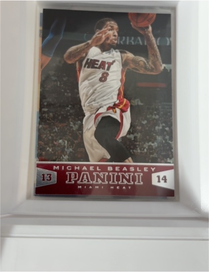 2013-14 Panini #21 Michael Beasley — front