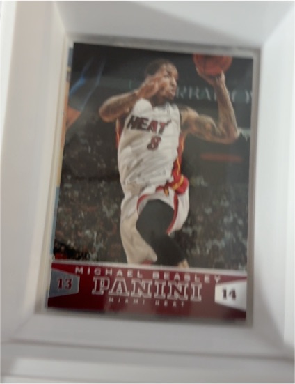 2013-14 Panini #14 Michael Beasley — front