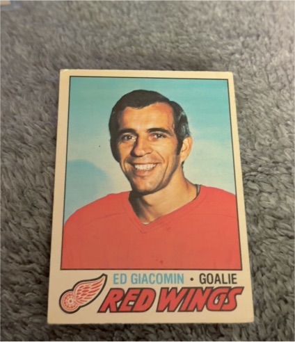 1977-78 Topps #70 Ed Giacomin — front