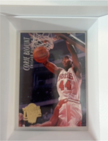 1994-95 Fleer Ultra #216 Corie Blount — front
