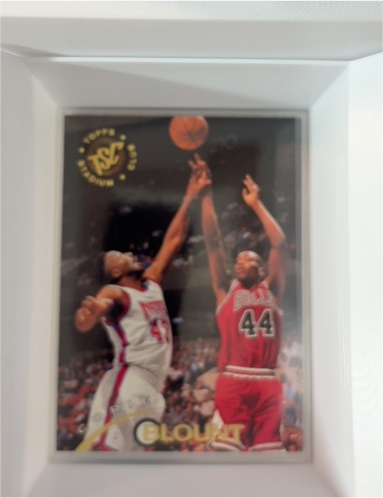 1994-95 Topps Stadium Club #156 Corie Blount — front