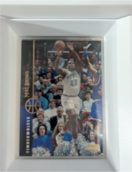 1994-95 Upper Deck #150 Mike Brown — front
