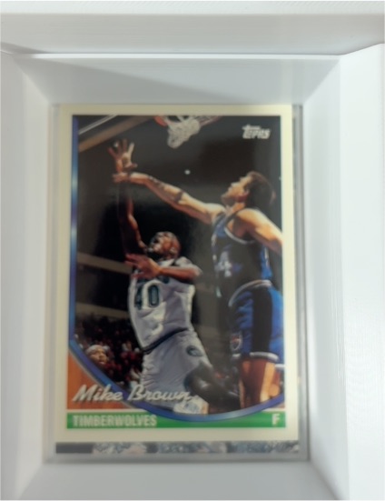1993-94 Topps #219 Mike Brown — front