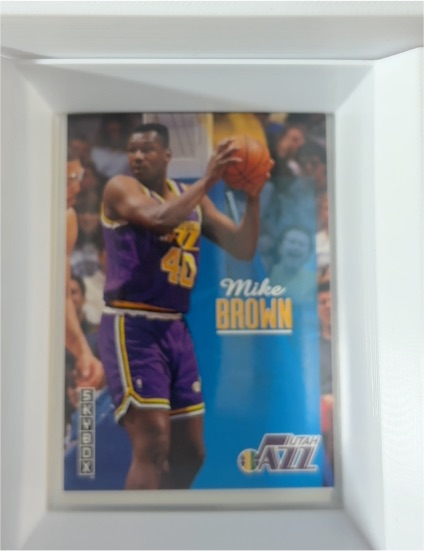 1992-93 Skybox #237 Mike Brown — front