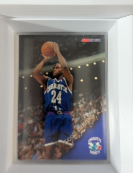1996-97 Hoops #14 Scott Burrell — front