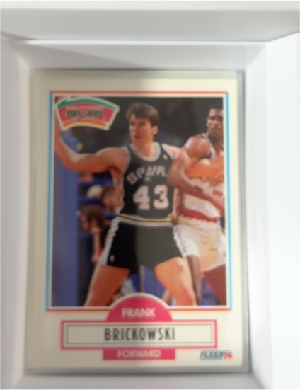 1990-91 Fleer #169 Frank Brickowski — front
