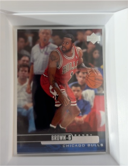 1999-00 Upper Deck #17 Randy Brown — front