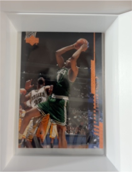 1994-95 Upper Deck #52 Dee Brown — front
