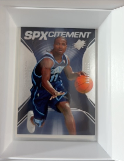 2006-07 Upper Deck SPx #SPX-23 Dee Brown SPXcitement — front
